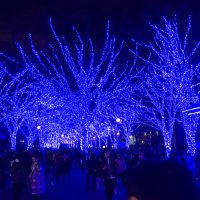 TOKI (@toki76535839) 's Twitter Profile