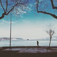 MonofobikAdamlar (@adammonofobik) 's Twitter Profile