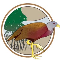 Australasian Ornithological Conference(@AustOrnithConf) 's Twitter Profile Photo