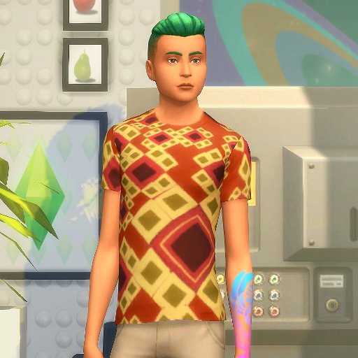 I make mods for #TheSims4. I'm also creating my own action adventure game, codenamed Project Squealer. Also, I like bananas!
