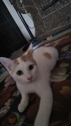 fascade091's profile picture. I wish i was cool, talented or attractive. I'd take any one of those. More than one would be a blessing.