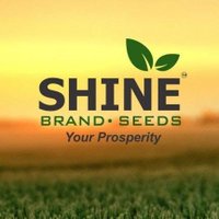 Shine Brand Seeds(@shinebrandseeds) 's Twitter Profile Photo