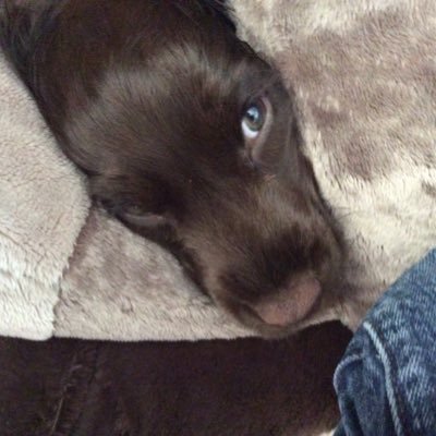 _LePib's profile picture. je suis ton père