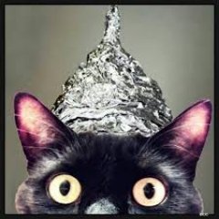 I am a tinfoil thinking Cat that loves this country Good Ole USA. My posts my seem SNARKY, just telling the TRUTH. Swallow the red pill...like I did.