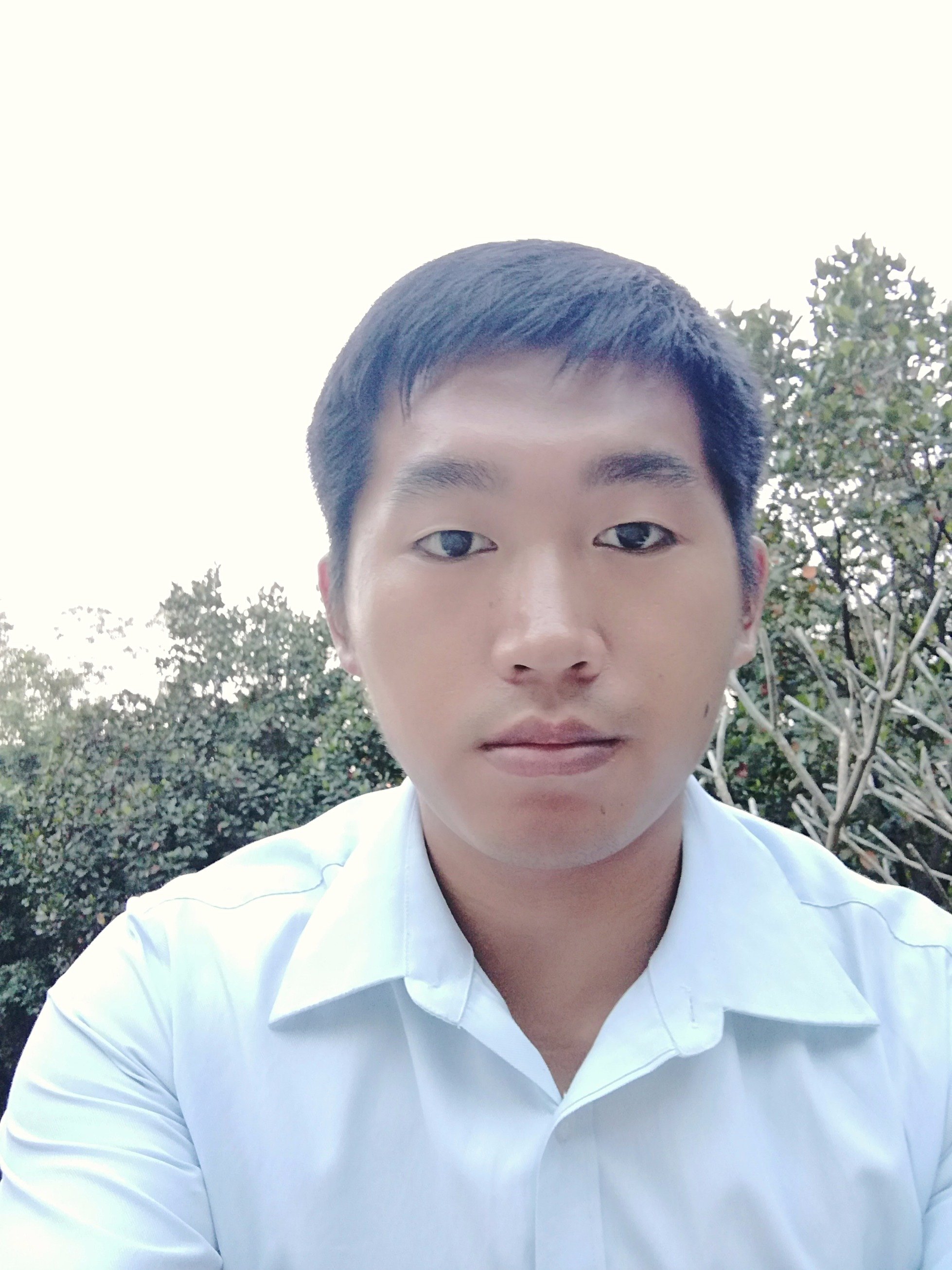 newpowertech26's profile picture. china solar light manufacturer