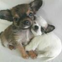 Beth Ortiz - @Lizzie1021 - Twitter