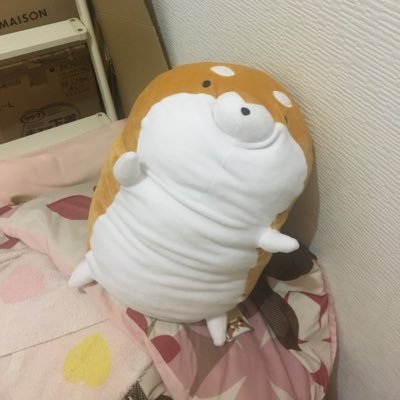 2525YAZAWA's profile picture. 😊