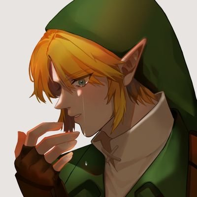 젤다하는 그극이さんのプロフィール画像