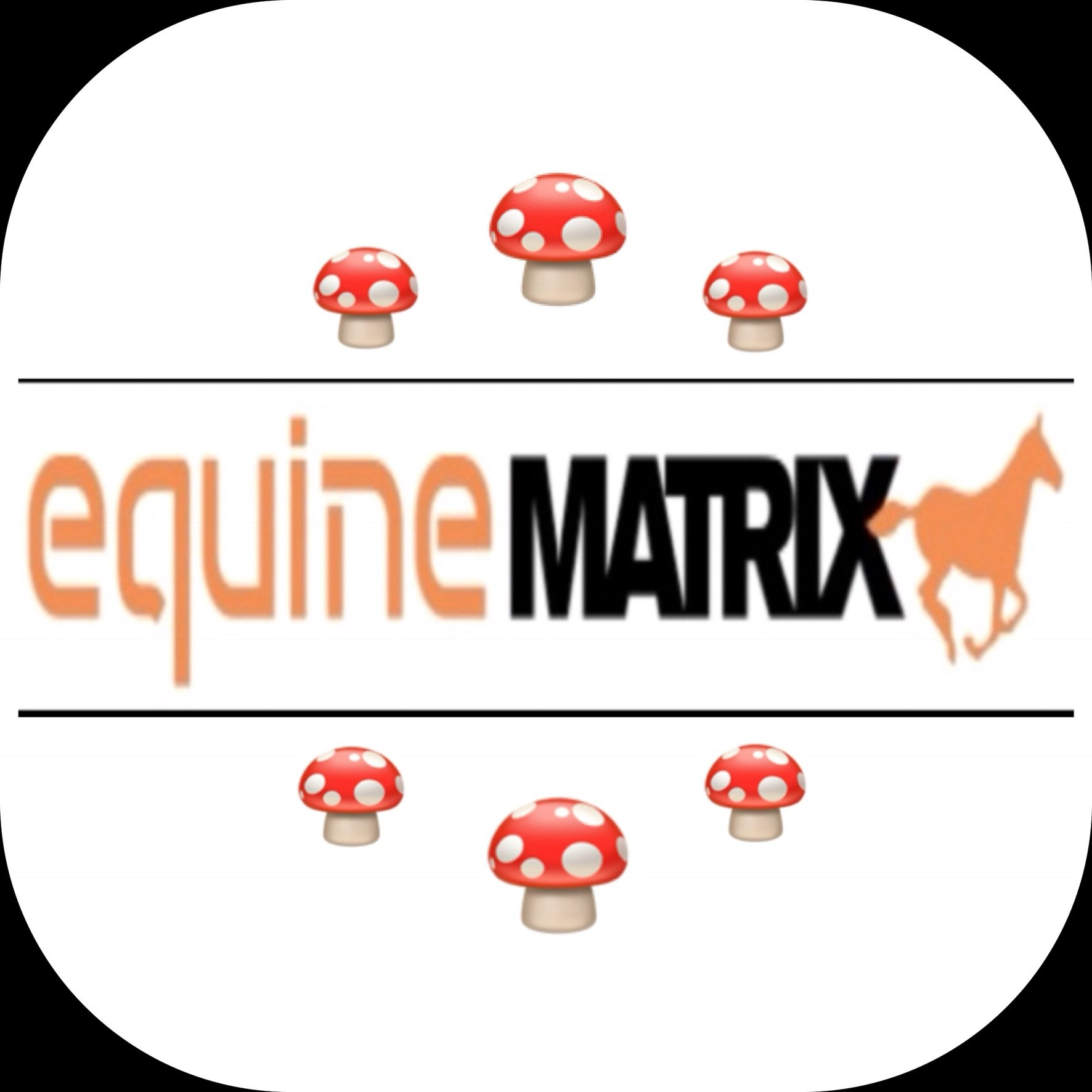 🍄 Welcome to Equine Matrix! We produce 100% organic Medicinal Mushroom supplements for Horses and Dogs. Competition Legal 🍄