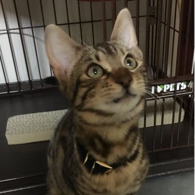 RestartUncle's profile picture. 