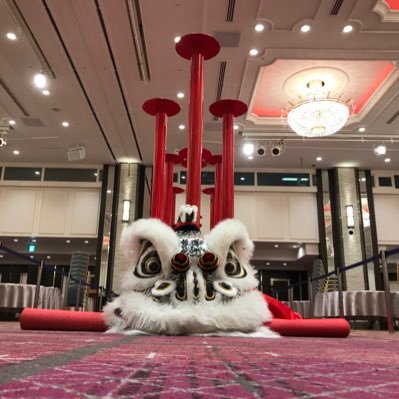 tan3rdson's profile picture. lion dance. wushu kung-fu. drum インスタメイン