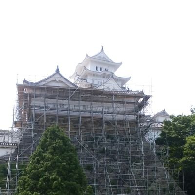 東京都行政書士会立川支部で行政書士の職に就いております。立川支部総務部広報部担当副支部長。
中央線沿線をテリトリーとして仕事をこなす毎日です。
現在はグループホーム等の福祉施設の設置運営をメインにしています。