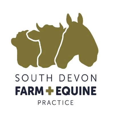 Providing farm and equine veterinary services across South Devon