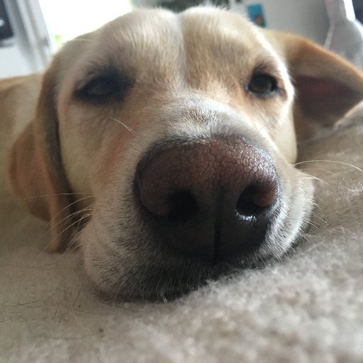 mariocond1's profile picture. Sii il cambiamento che vuoi vedere avvenire nel mondo. (Mahatma Gandhi). FREE ASSANGE