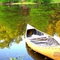 WillowTree (@speaking4m) 's Twitter Profile