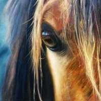 Painter Ayşe Özaslan(@Ayezaslan6) 's Twitter Profile Photo