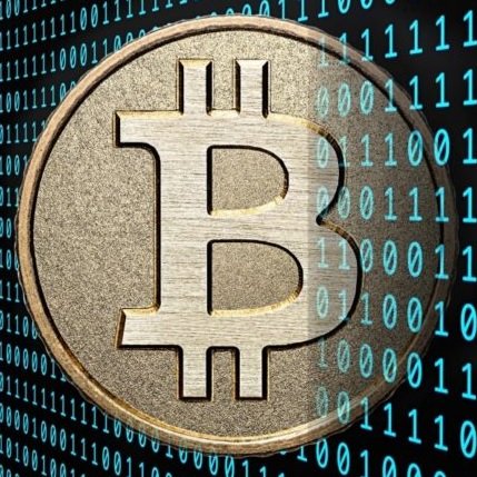 Graphic Artist, Tech support, Yoga, healthy cooking mostly. Discovering #bitcoin & #cryptocurrency