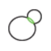 MichaelMcMurraylab (@mcmurraylab) 's Twitter Profile