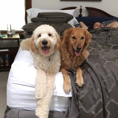 crna1964's profile picture. Professor and Chair Webster University Nurse Anesthesia Program