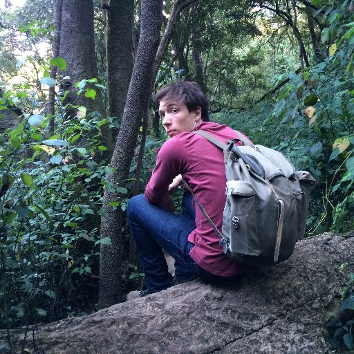 vfqd_'s profile picture. Game developer from South Africa. Working at @freelives. Lead designer and programmer on @Terra_Nil

🐘 https://t.co/uaDmOi0Asp