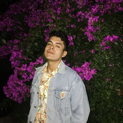 BrandonH2729's profile picture. No hay nada/bailo solo como rarito