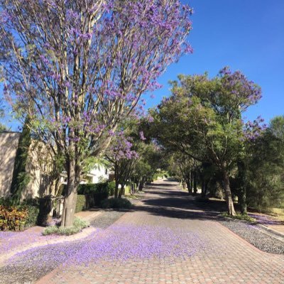 pbaca1959's profile picture. 