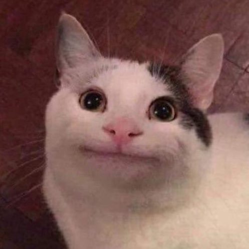 sss_yeon1004's profile picture. 