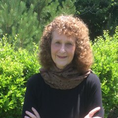 Sharon Gloger Friedman’s articles have appeared in The Boston Globe, Woman’s World Magazine, and Yahoo News. Her novels include Ashes and In Freedom's Light.