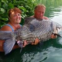 Dawn Hogg 🎣🎣 (@hogg_dawn) 's Twitter Profile Photo