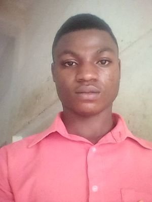 sanginadamir's profile picture. 