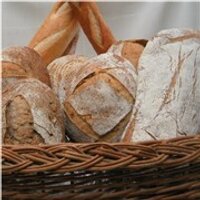 Berolina Bakery (@berolinabakery) 's Twitter Profile