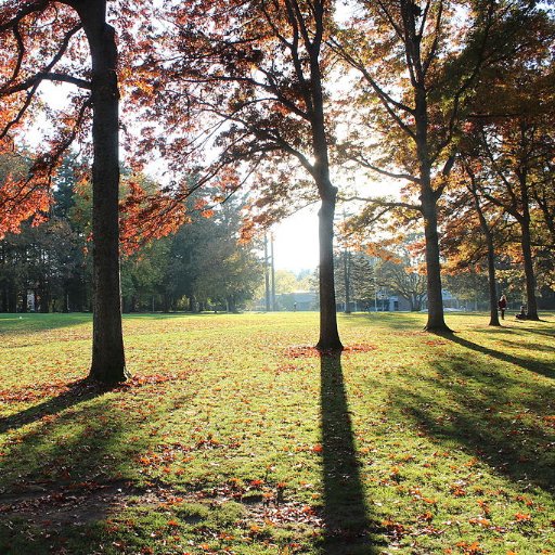 Views are our own. #UVic students, follow us for opportunities as #StudentsInGovernment