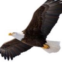 Sam Houston Eagles(@SH_Eagles) 's Twitter Profile Photo
