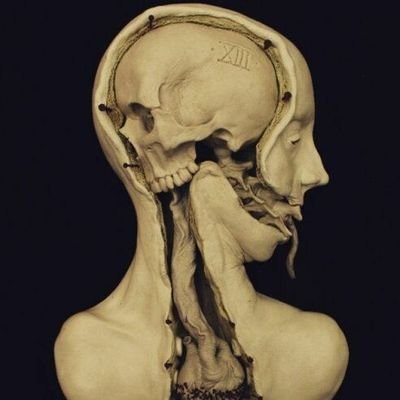 No hay lealtad entre radiólogos.

NVLLIVS IN VERBA.

Harto retweet.

Imágen del trabajo de Emil Melmoth https://t.co/xfXdsaSYun