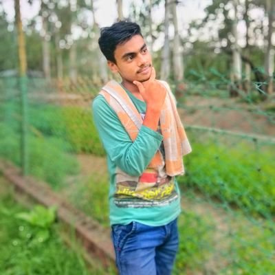 bolly to tolly
