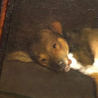 captiveofthesun's profile picture. too sleep