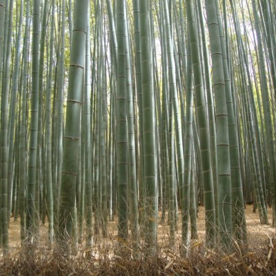 mglass67's profile picture. 