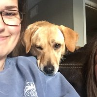 Lacey Berger (@laceyalyse) 's Twitter Profile