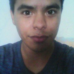 I am a other dev in internet I'm geek and I love the Internet and I am also a person with the dream of I will become on an polyglot in mandarin,korean