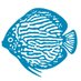 Aquarium Glaser GmbH (@aquariumglaser) Twitter profile photo Aquarium Glaser GmbH (@aquariumglaser) Twitter profile photo