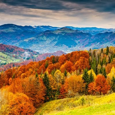 igaras's profile picture. 体調崩さず気楽に。