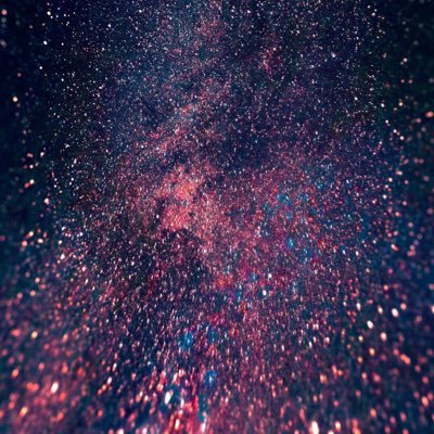 SharonE81357892's profile picture. 