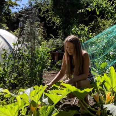 Growing fruit, veg and flowers in my 200yr old garden. Grow Your Own writer. Instagram: welliesandwaffles
