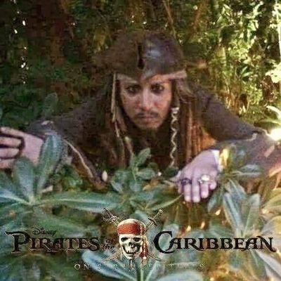 Captain_Robby's profile picture. 