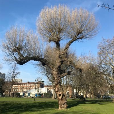 A community association established to make Meath Gardens even better for local people and wildlife in East London! E2 0SN. Instagram: @friendsofmeathgardens