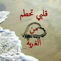 فحل يمني حاتم الرياض (@wjrsuipyxbupr3c) Twitter profile photo