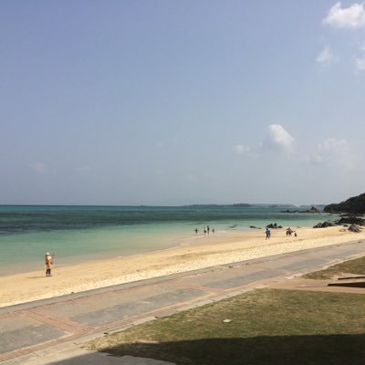 RqDIu4zMlnCoDcN's profile picture. 競馬用にしました！ 中央と南関東をやります。。。