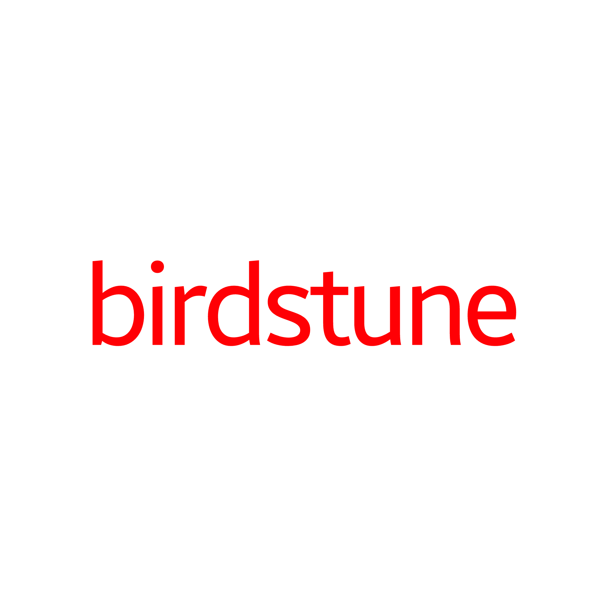 birdstuneblog's profile picture. 