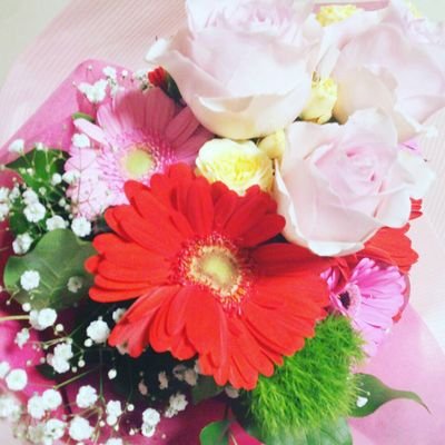 馬刺しソーダ Basashiyabai Twitter 馬刺しソーダ Basashiyabai Twitter