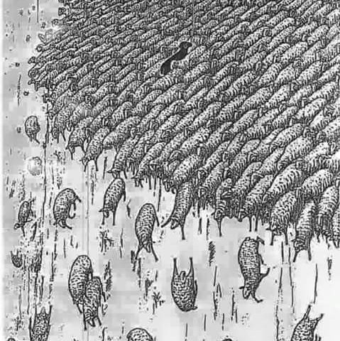 Ex català.  ZEITGEISTIÀ en essència.